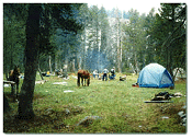 camp1.GIF (21161 bytes)